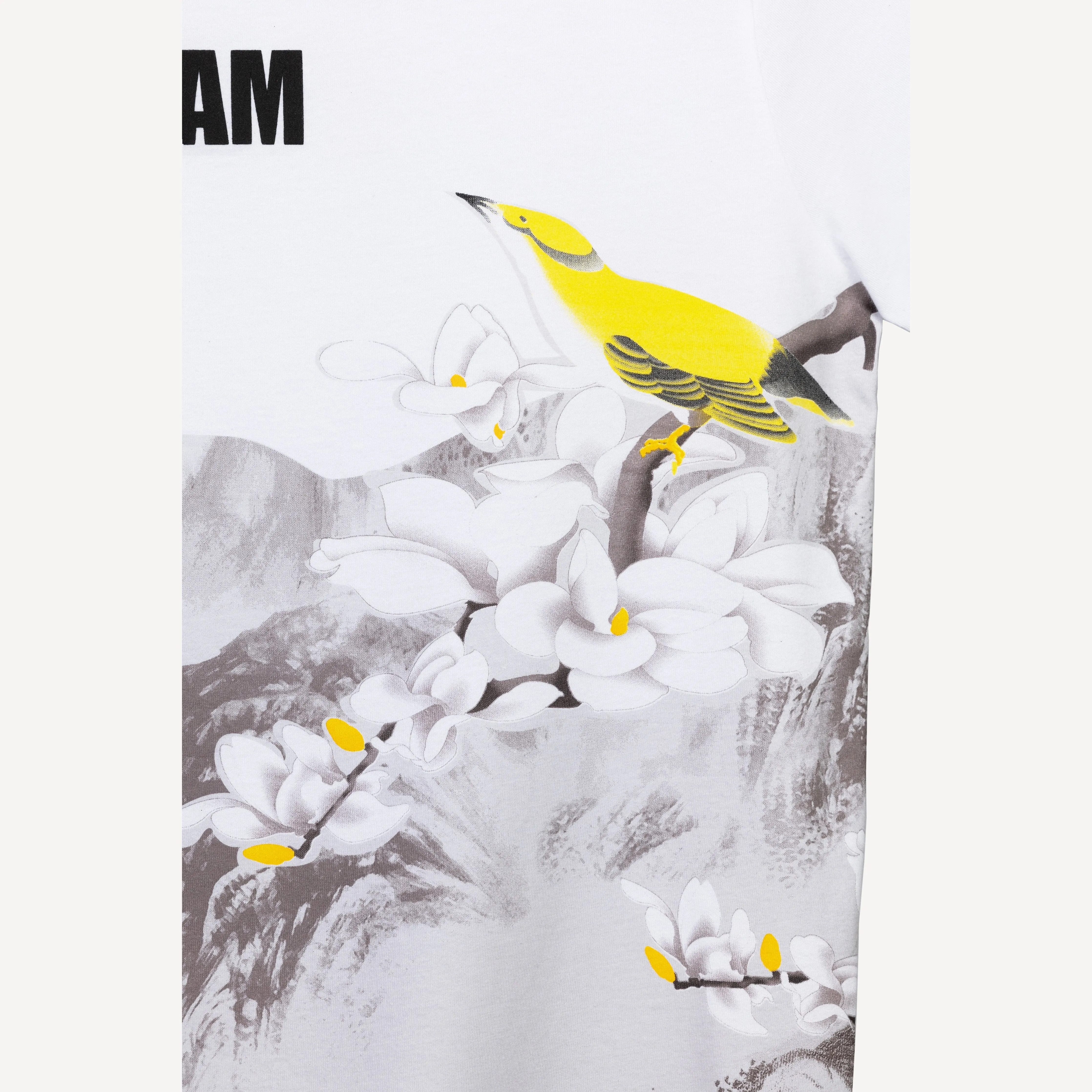 Graphic Wrap Around Crewneck Tee - White / Dream