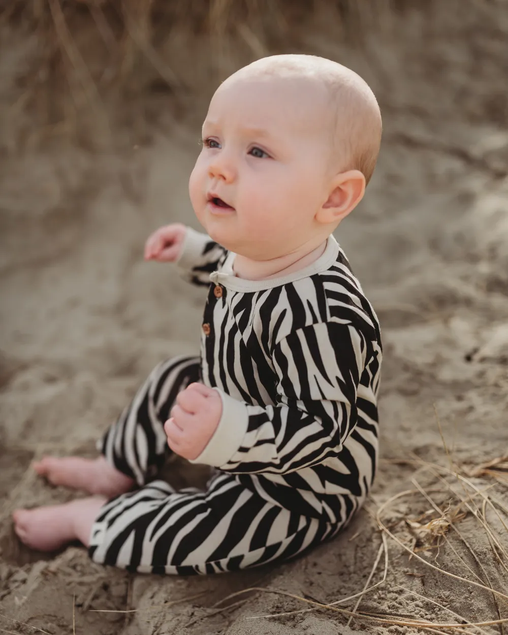 Multicolour Zebra Streak Print Romper
