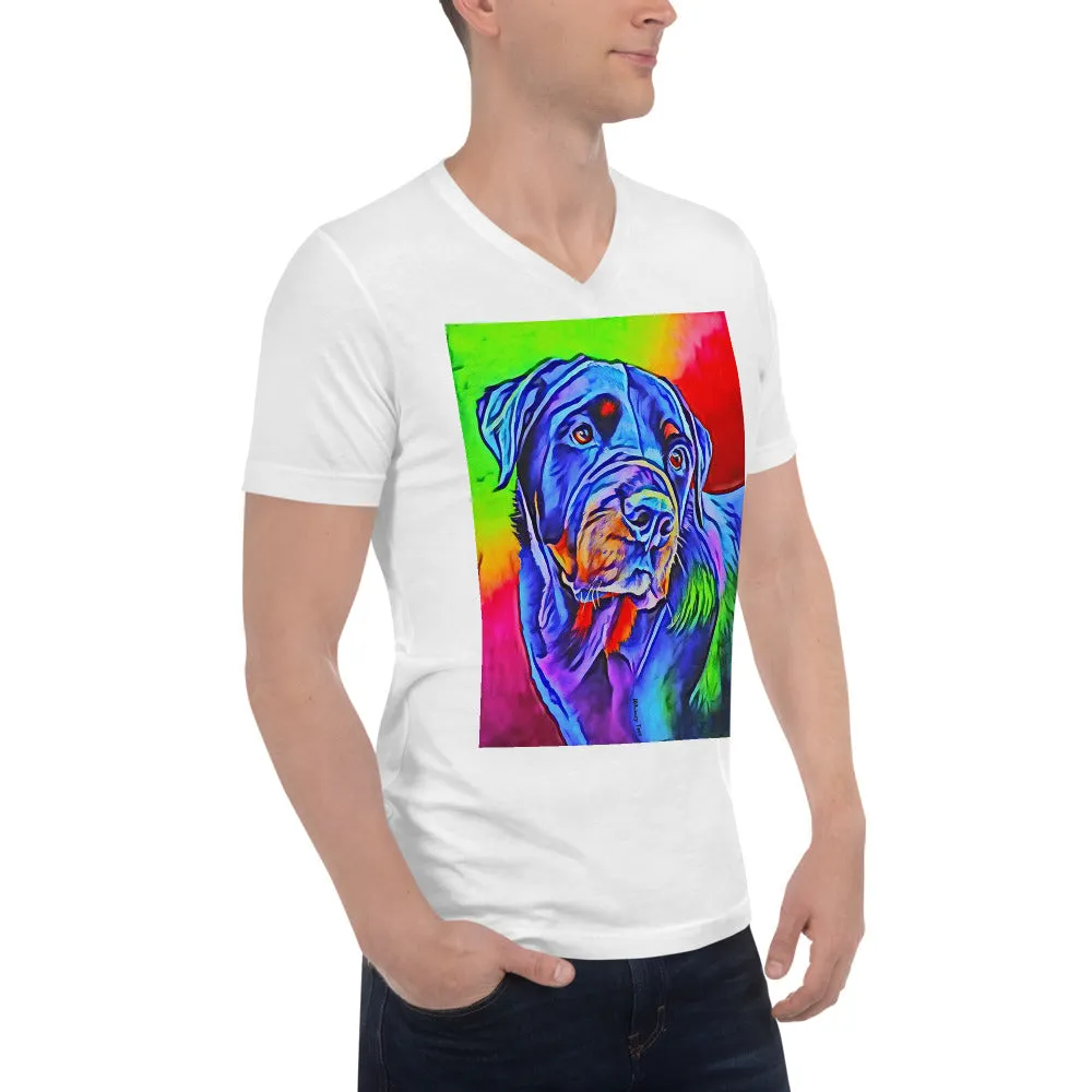 Starburst V-Neck Tee